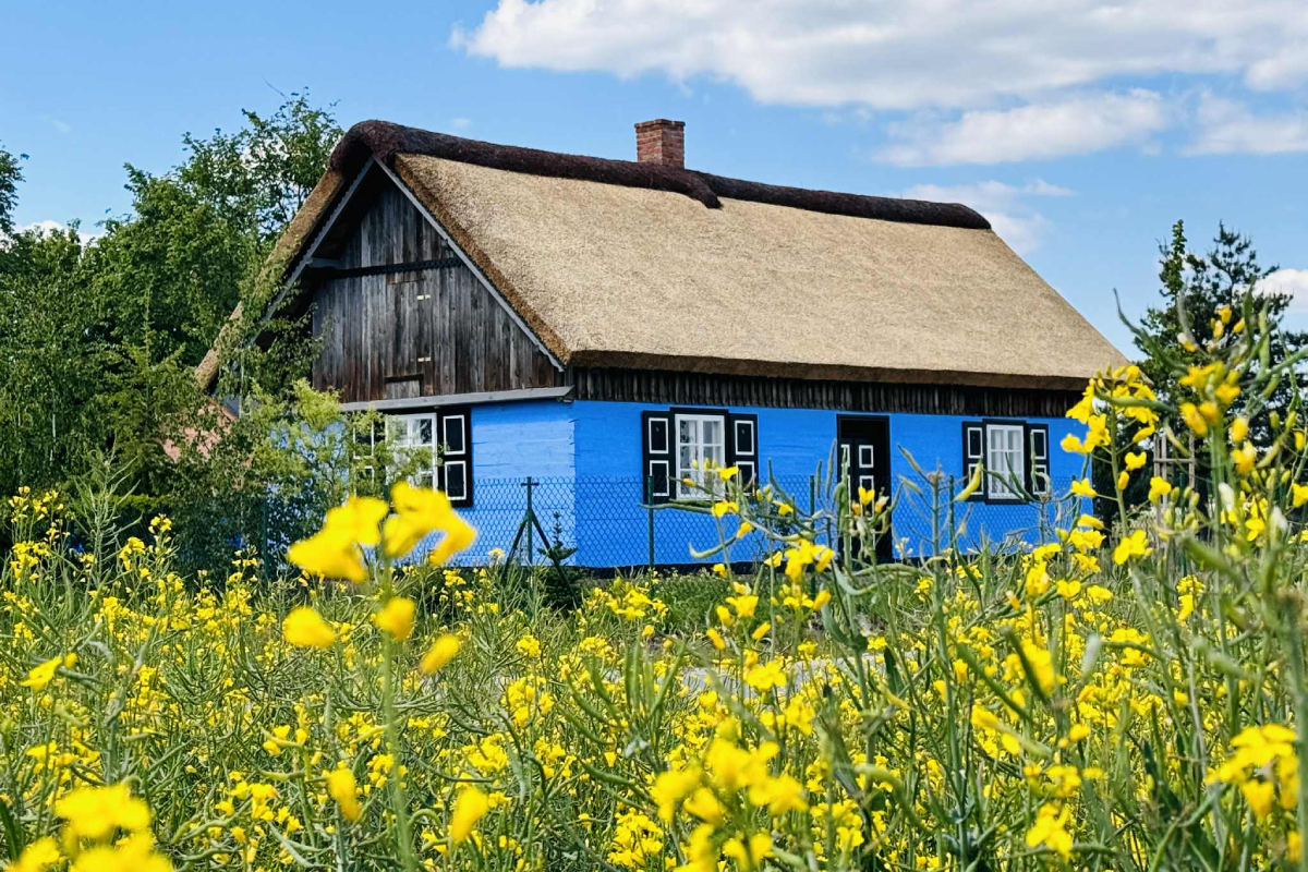 Chałupa o niebieskich ścianach, przed nią żółte kwiaty.